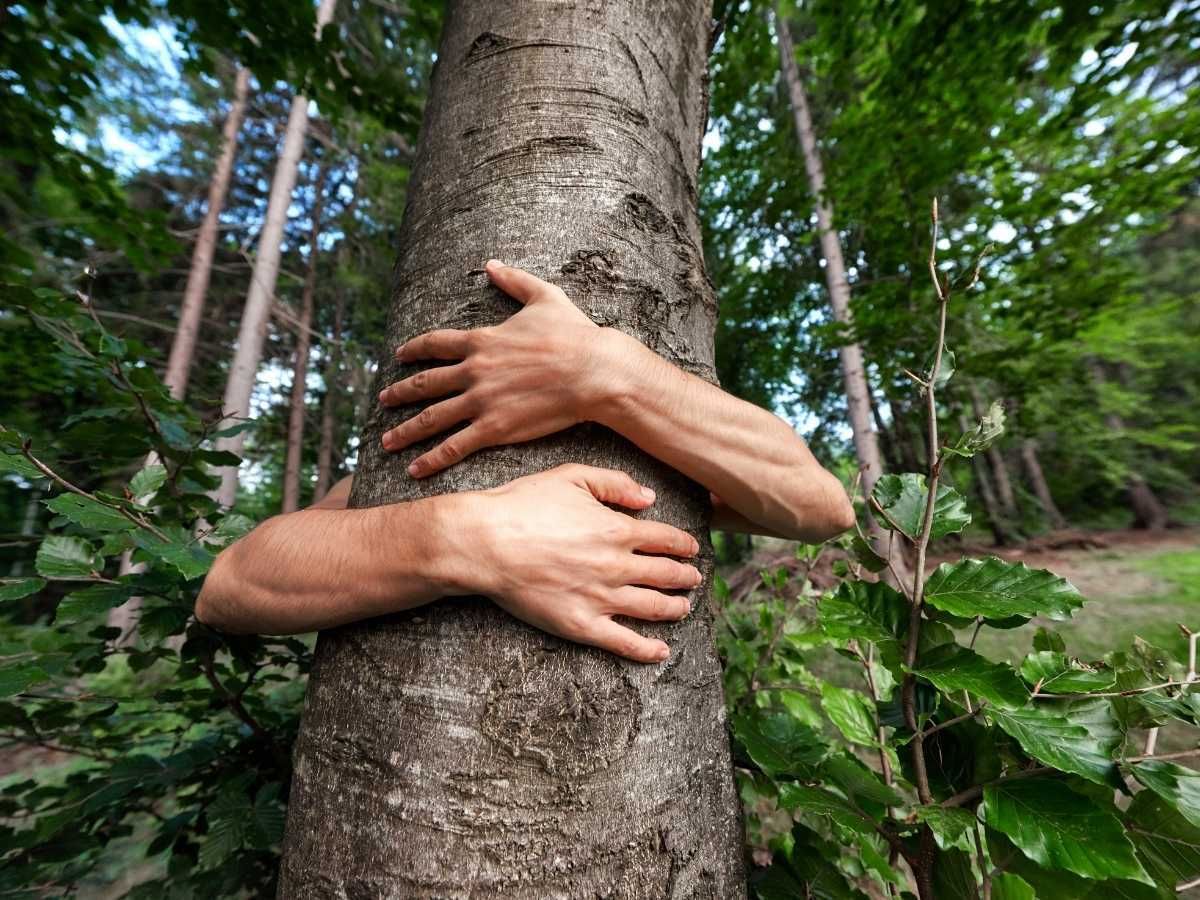 Medioambiente: ¿a quién le importa?