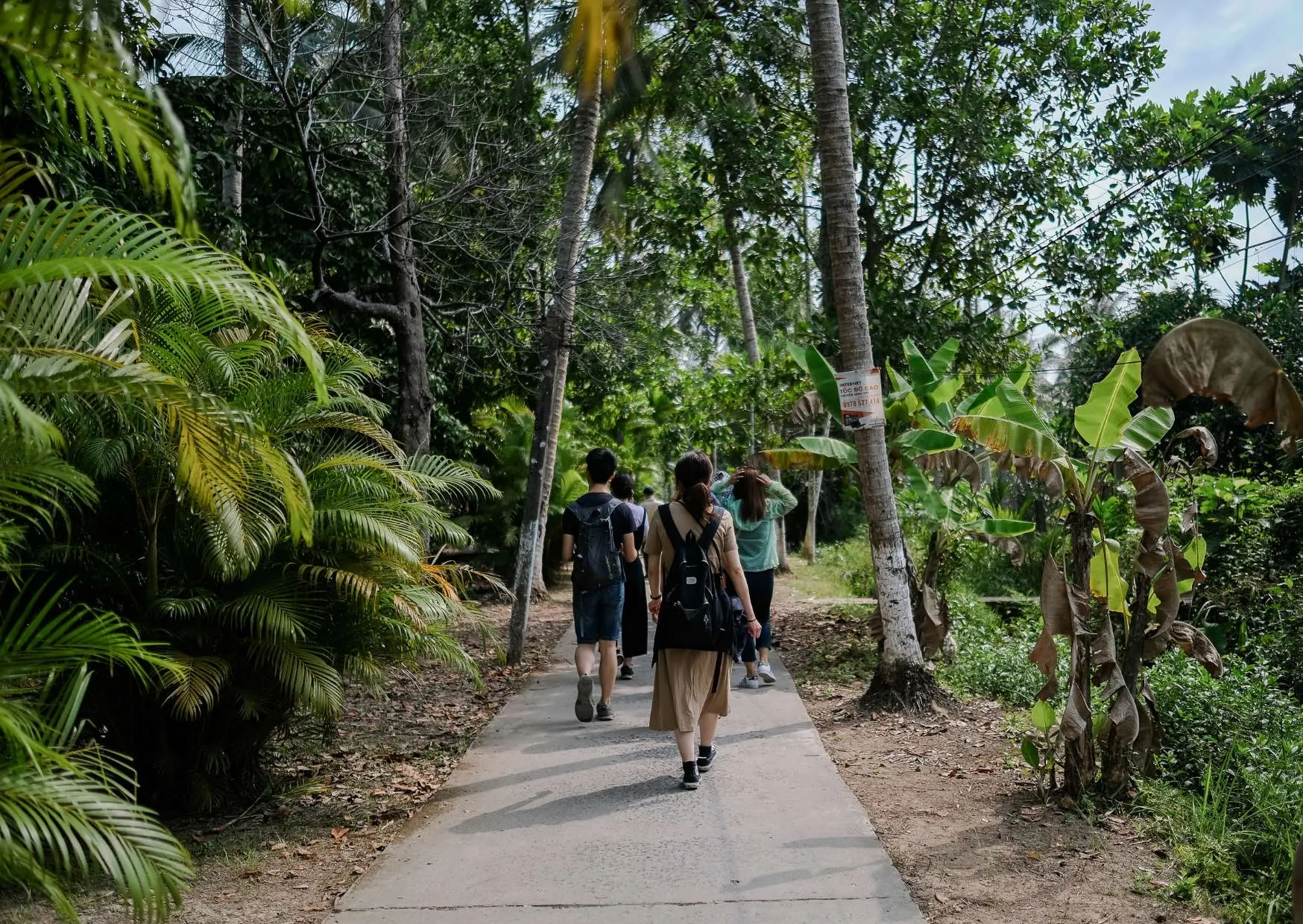 Personas caminando por un sendero tropical durante unas vacaciones sostenibles en contacto con la naturaleza.