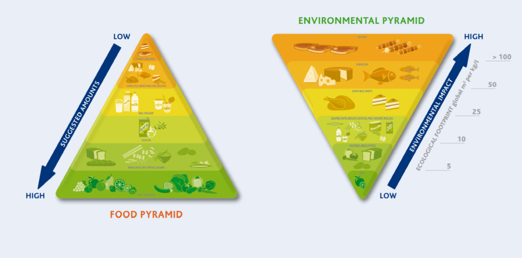 Pirámides alimentaria y medioambiental