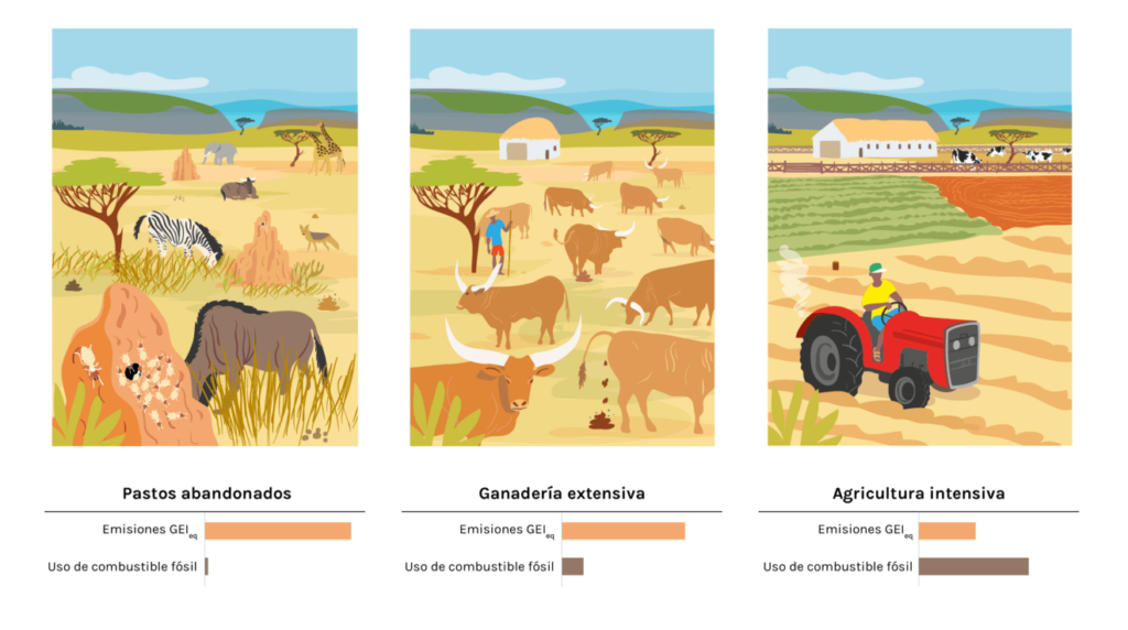 Ganadería extensiva y agricultura